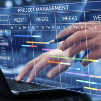 Cover - PR-STBW12BF - Projektmanagement (PR-STBW12BF - XX1 - N01) Note 1,0