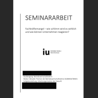 Cover - Seminararbeit Fachkräftemangel