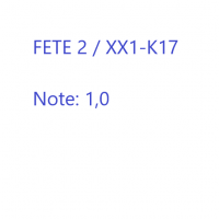Cover - FeTe 2 / XX1-K17   Note: 1,0