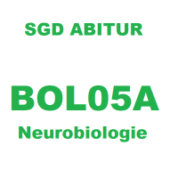 Cover - SGD BOL05A Neurobiologie mit Korrekturhinweisen 1,0 Sehr gut