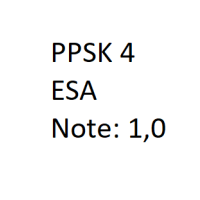 Cover - ILS PPSK 4-XX1-A02