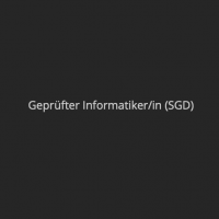 Cover - IMIT02B - SGD - Informationen und Daten