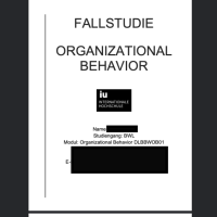 Cover - Fallstudie Organizational Behavior