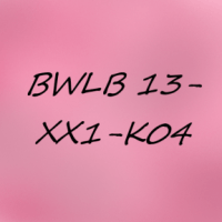 Cover - ILS Einsendeaufgabe BWLB 13-XX1-K04