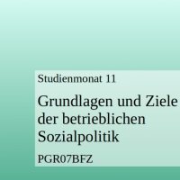 Cover - PGR07BFZ Grundlagen und Ziele der betrieblichen Sozialpolitik