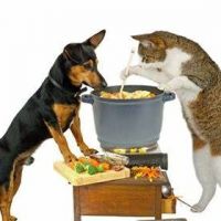 Cover - Tierernährungsberater Hund/Katze Fressverhalten, Nahrungsbestandteile, Verdauung (Teil 2)