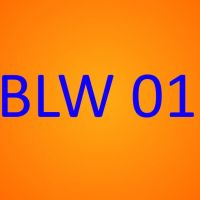 Cover - ILS Betriebswirtschaftslehre BLW 01