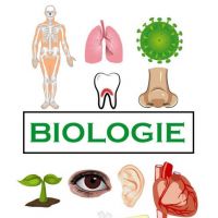 Cover - BioE 1 Grundlagen der Biologie 1