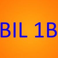Cover - ILS Betriebswirtschaftslehre BIL 1B