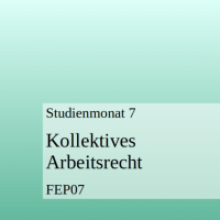 Cover - FEP07 Kollektivarbeitsrecht