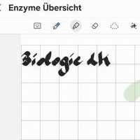 Cover - Bau und Eigenschaften von Enzymen