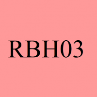 Cover - RBH03 | Note 1/ 96 von 100 Punkten | Rechtsbewusstes Handeln III