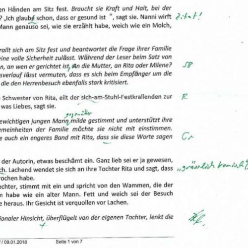 Text 3/N, Gesprächsanalyse - Ein netter Kerl, ILS - Text 3/N 508 K05