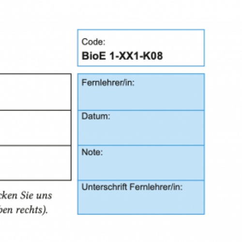 Vorschau